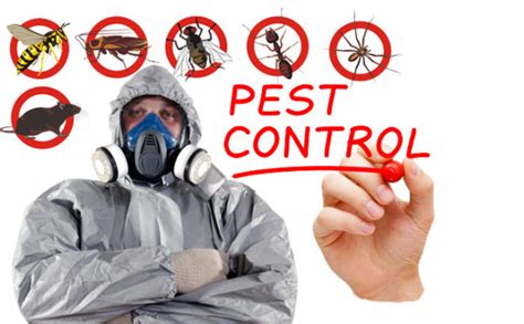 most reliable pest control services in aurora